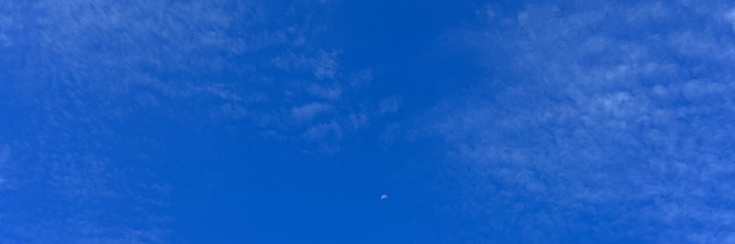 christy_pace's profile banner image