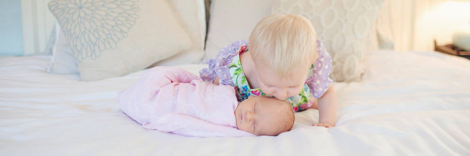 David Schrader banner