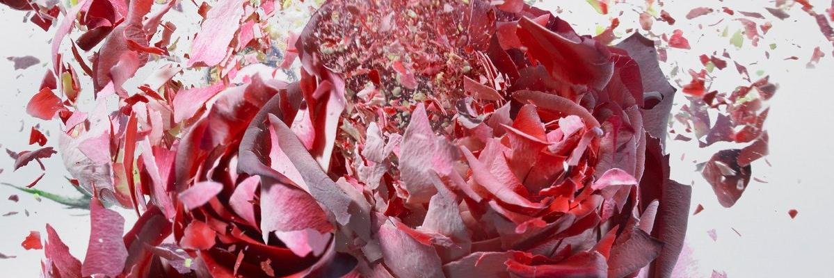 la_rine's profile banner image