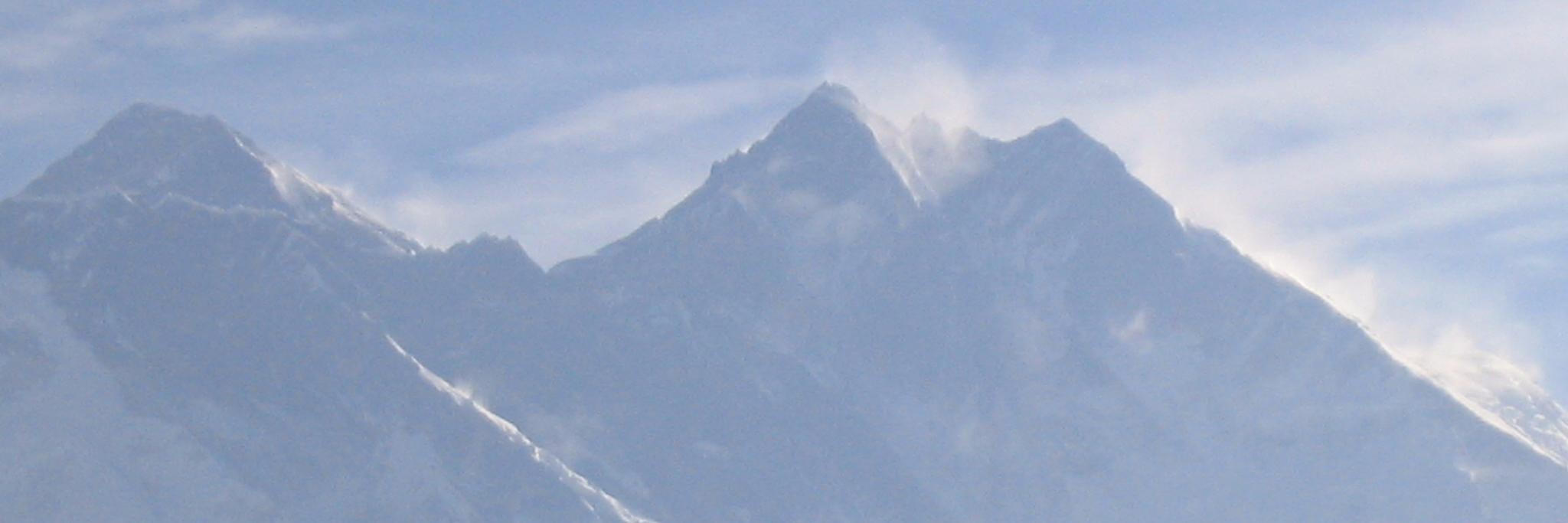 morsea's profile banner image