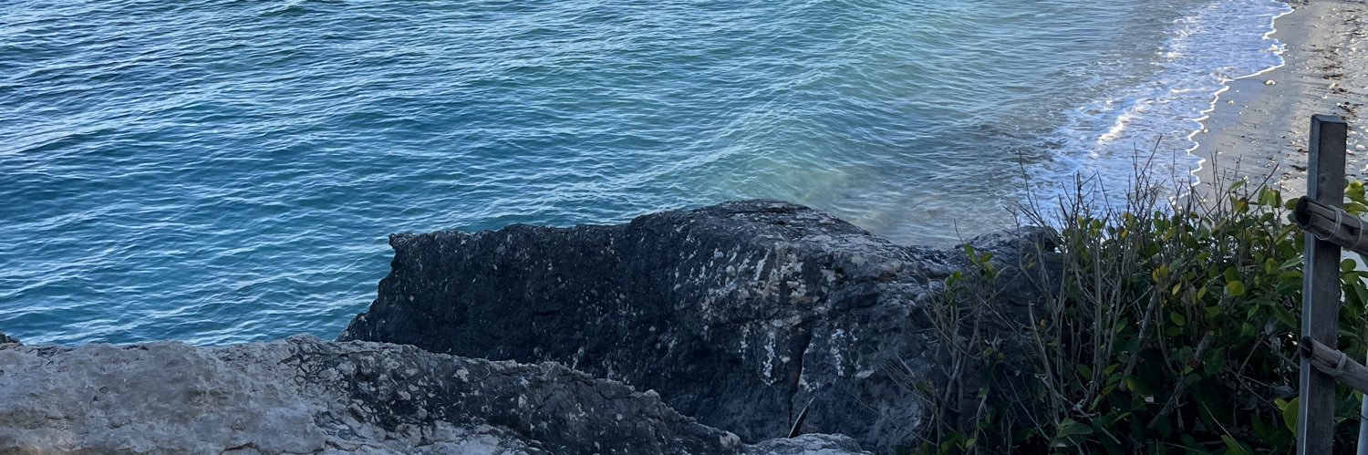 mlrsnty's profile banner image