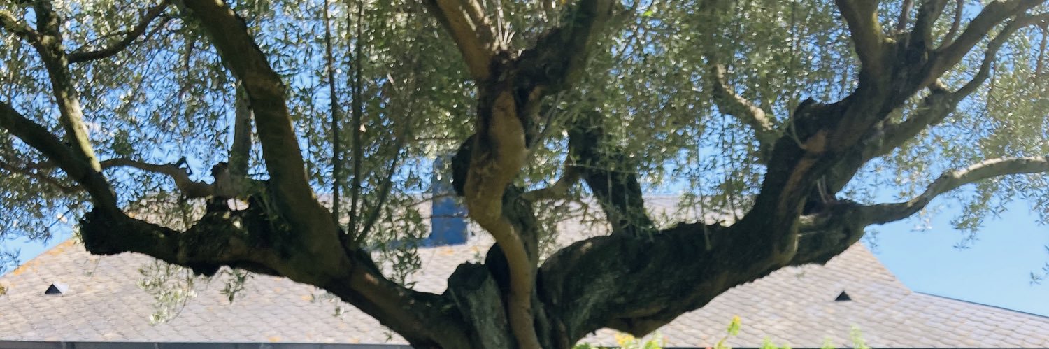 carlarRV's profile banner image