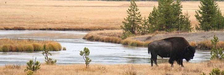 Brian Jackson banner