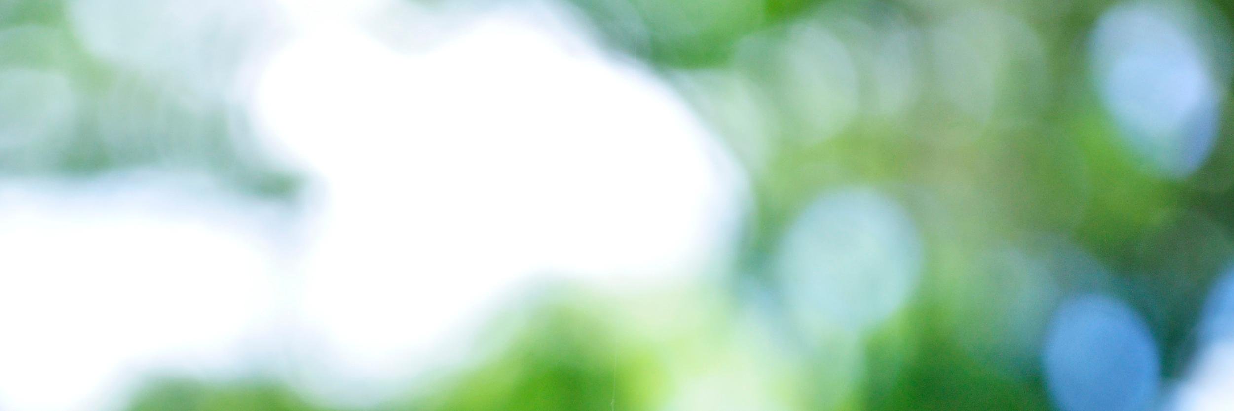 lucas_jpeg's profile banner image