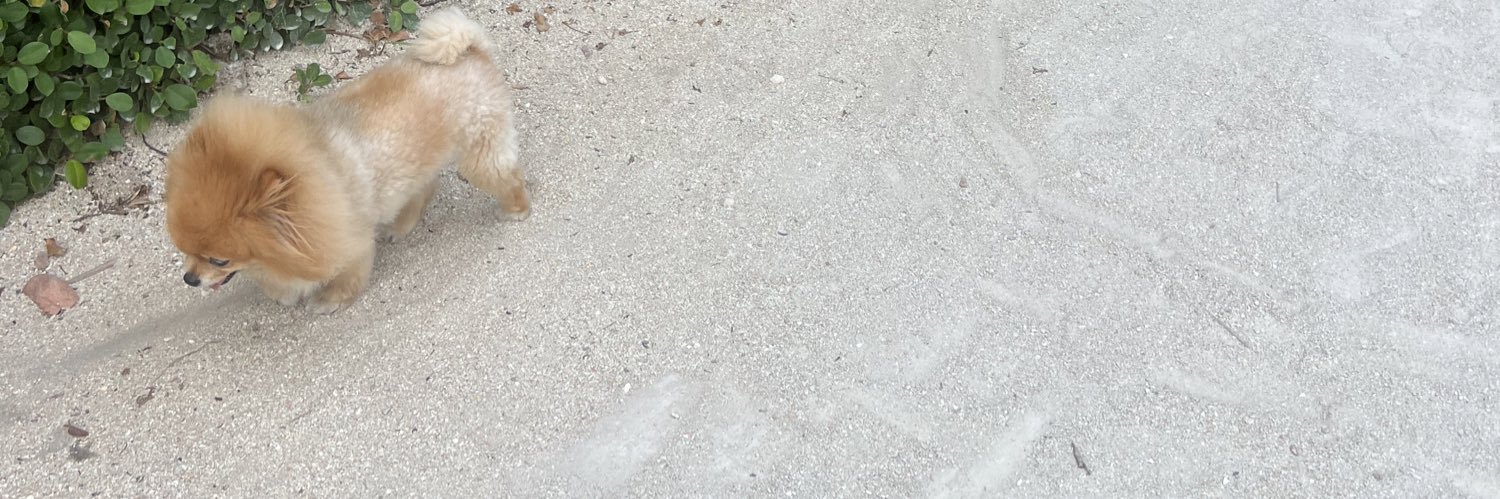 jayweis's profile banner image