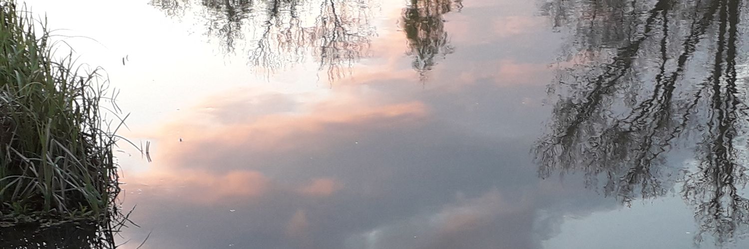 daphnewiersma's profile banner image