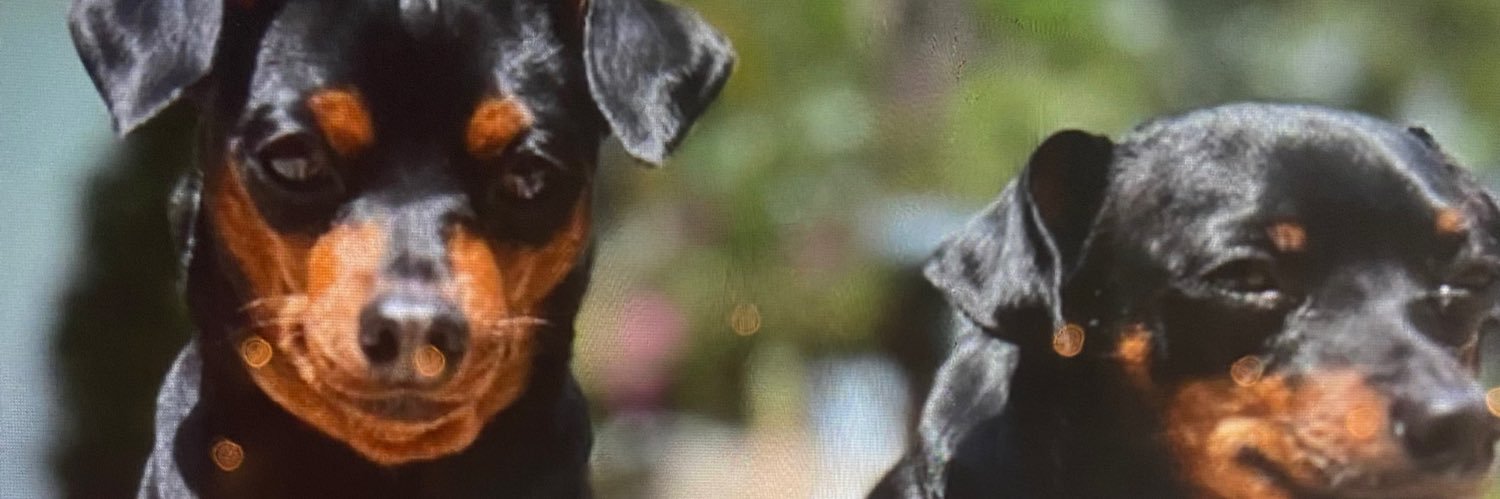 MAGA Christian Deplorable banner