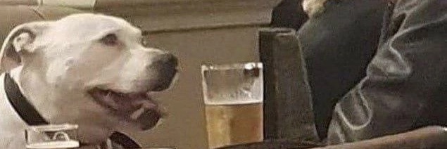 автоматизация чесания banner