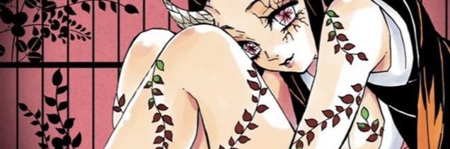 StephWu8's profile banner image
