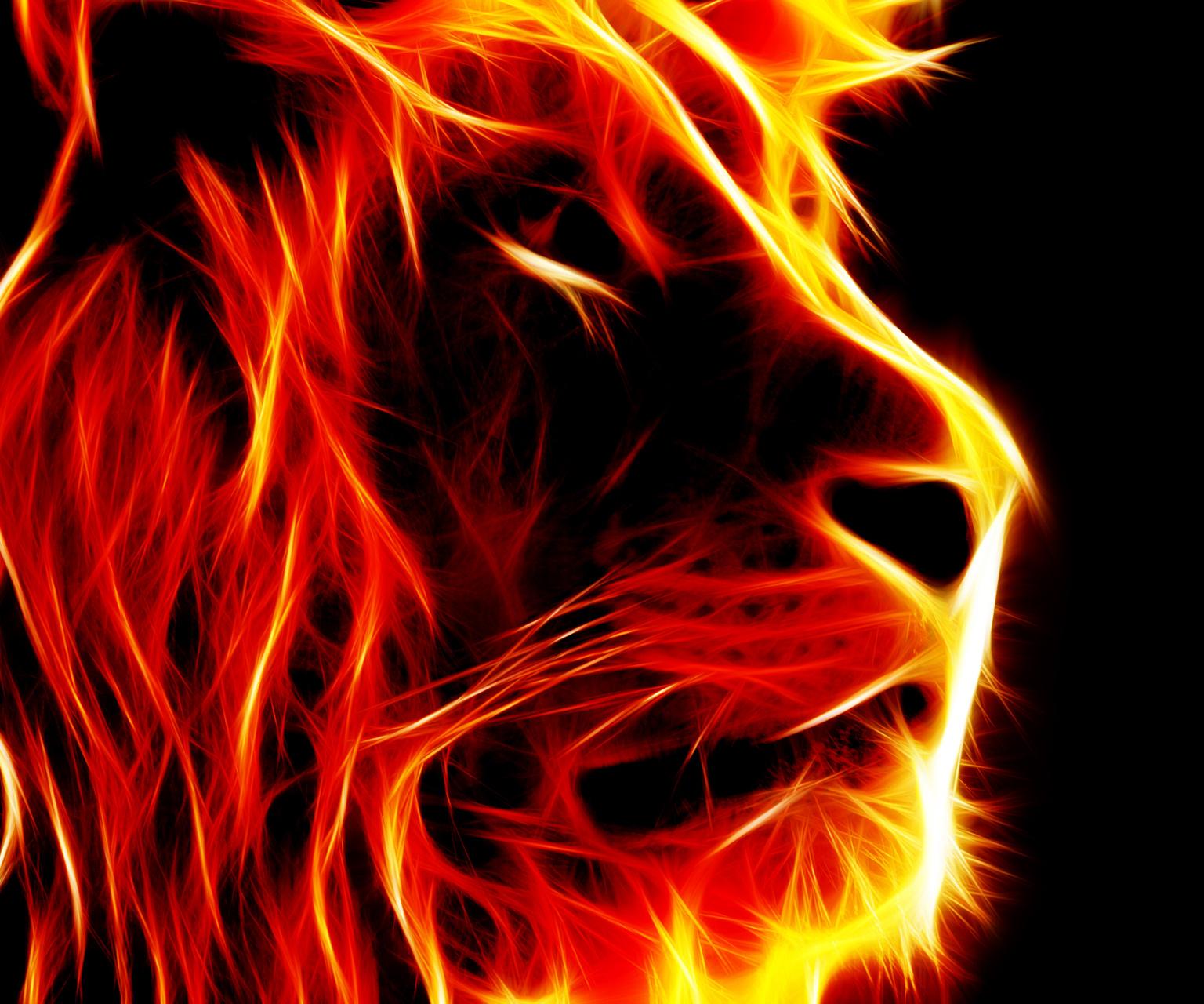 Daniel Contreras banner