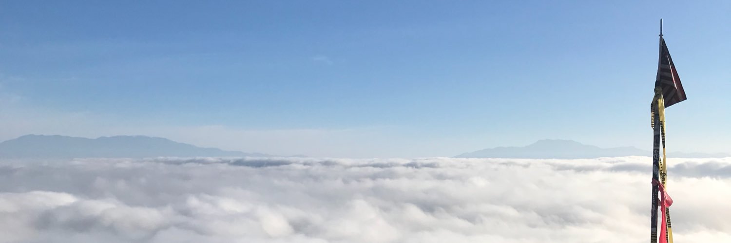 thedirectfeed's profile banner image