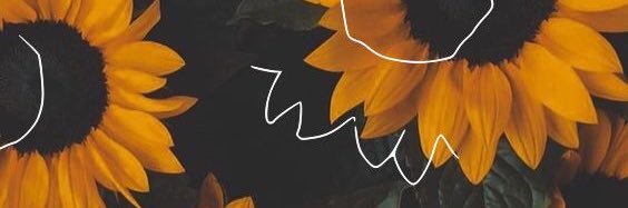 ohfirst's profile banner image