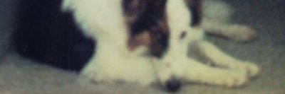 Isai_Emma's profile banner image
