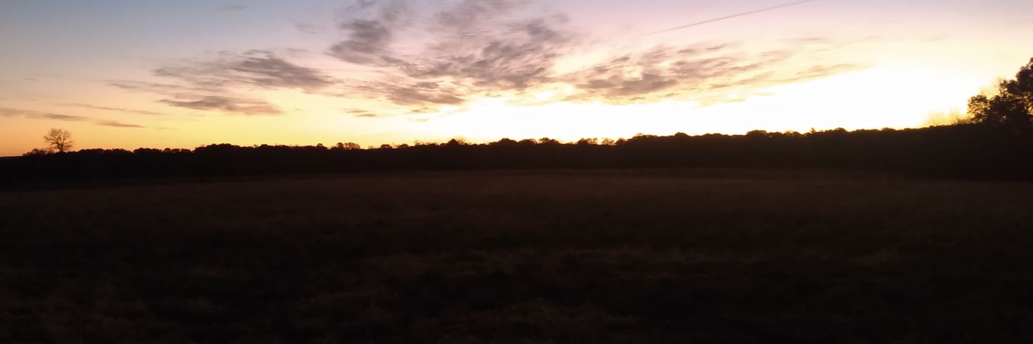 Steve Hoffmann banner