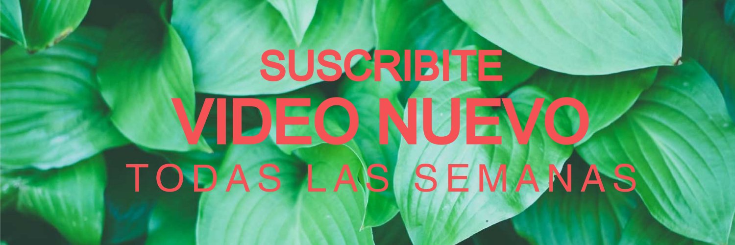 ezeesoto's profile banner image