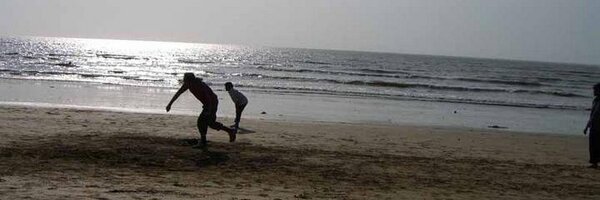 BoredCricket Profile Banner