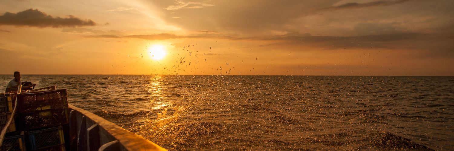 RoshiSanabria's profile banner image