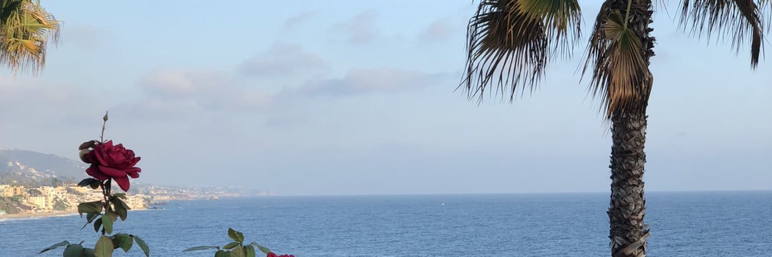 thisredheadruns's profile banner image