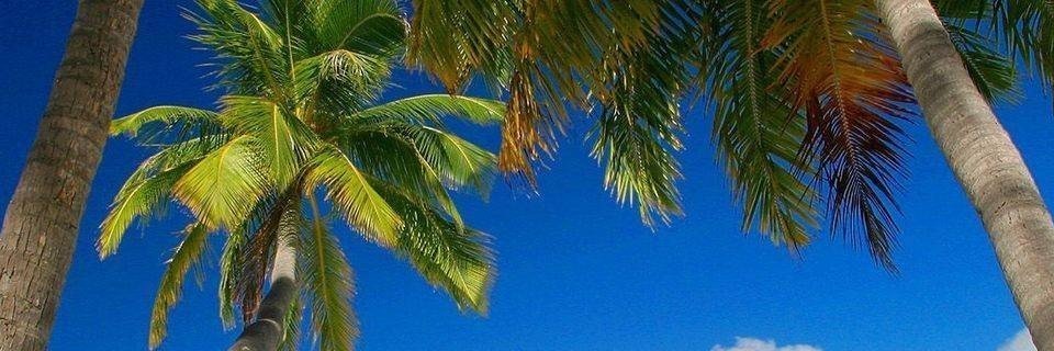 Alex Poisonov banner