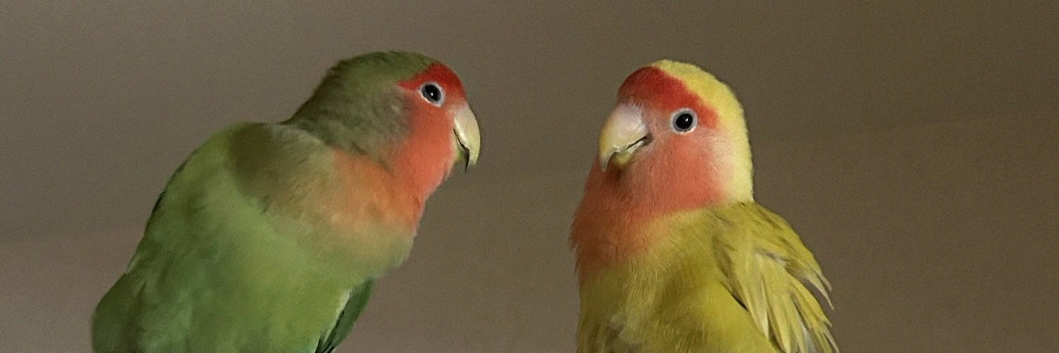 ToochOlson8's profile banner image