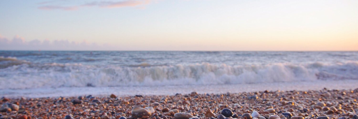 lillystevens_'s profile banner image