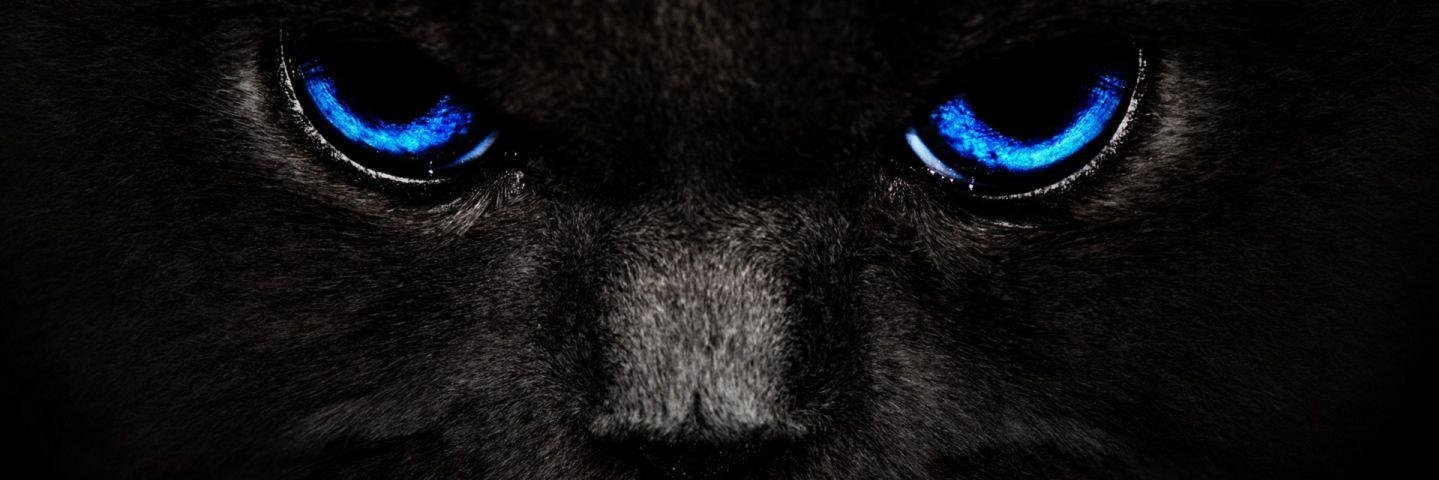 Defaus's profile banner image