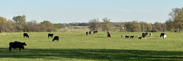 markileaming Profile Banner