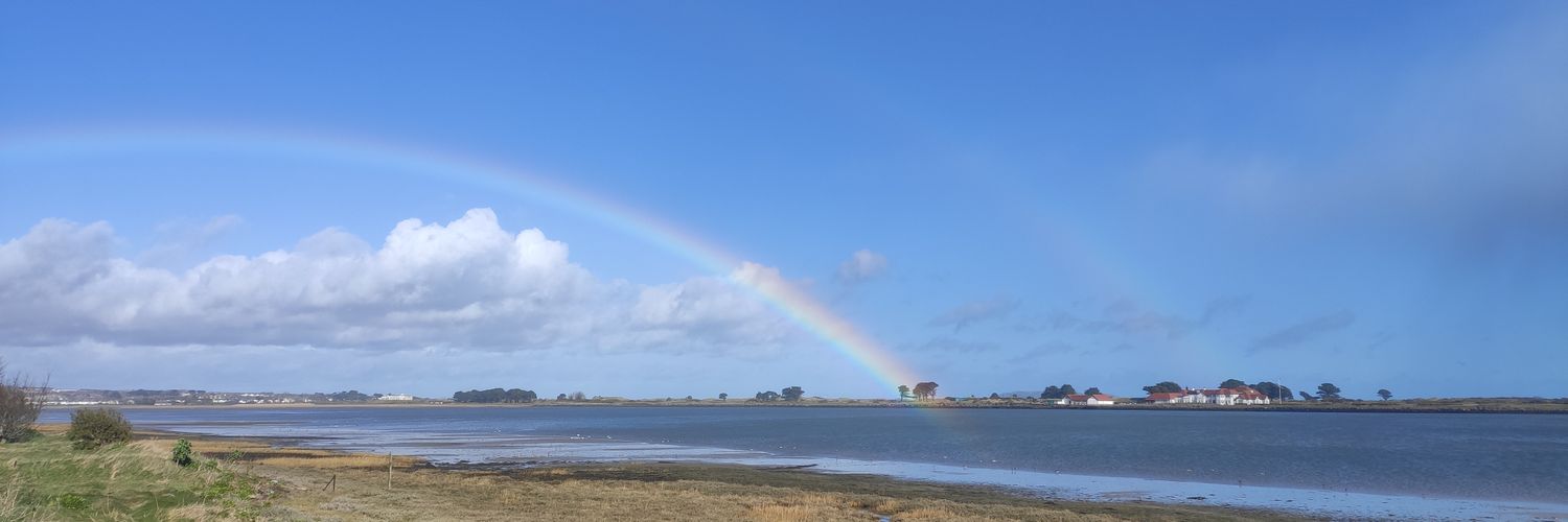 Saverio Veltri banner