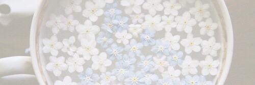 xmandyloveee's profile banner image