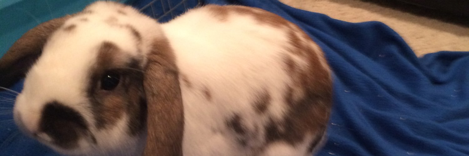 ChazzRobinson26's profile banner image