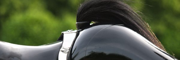 NightySwifthoof Profile Banner