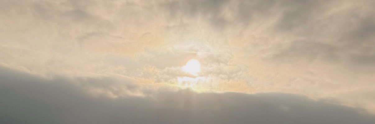 altcelia's profile banner image