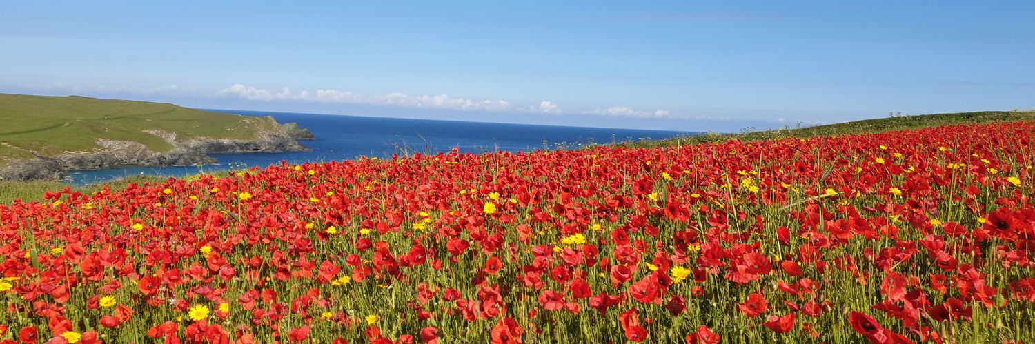 Debbie Victor 〓〓 🌈💙 banner