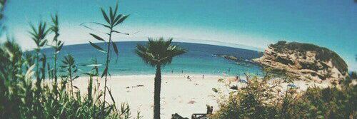 linesarmento_'s profile banner image