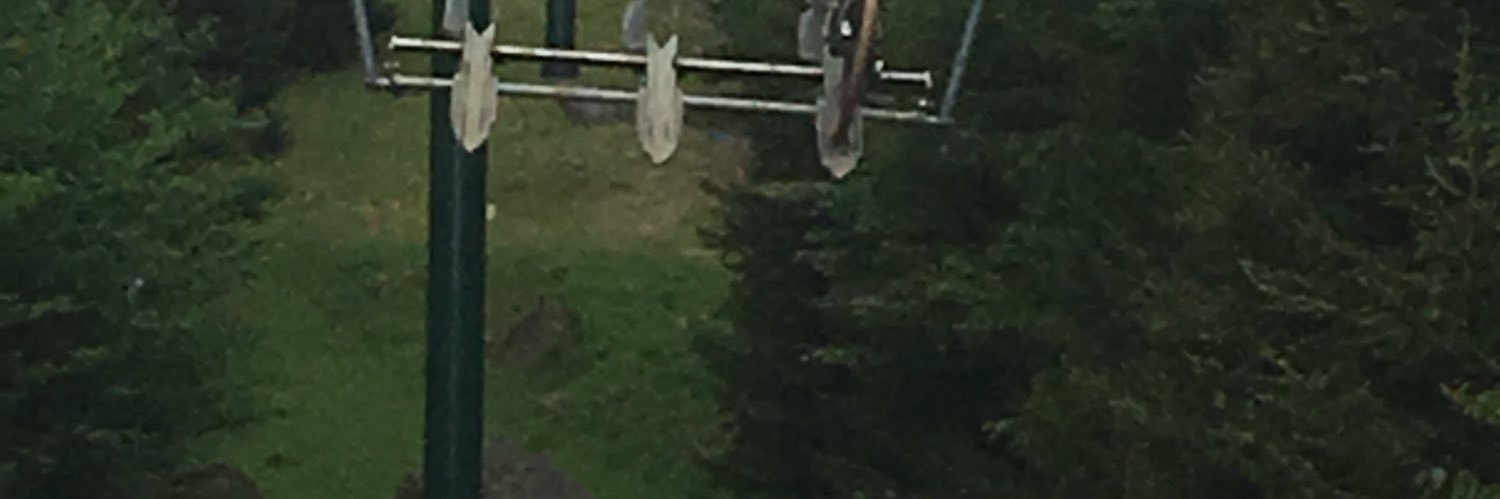 kelly banner