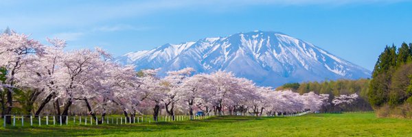 oyuki_sun's profile banner image