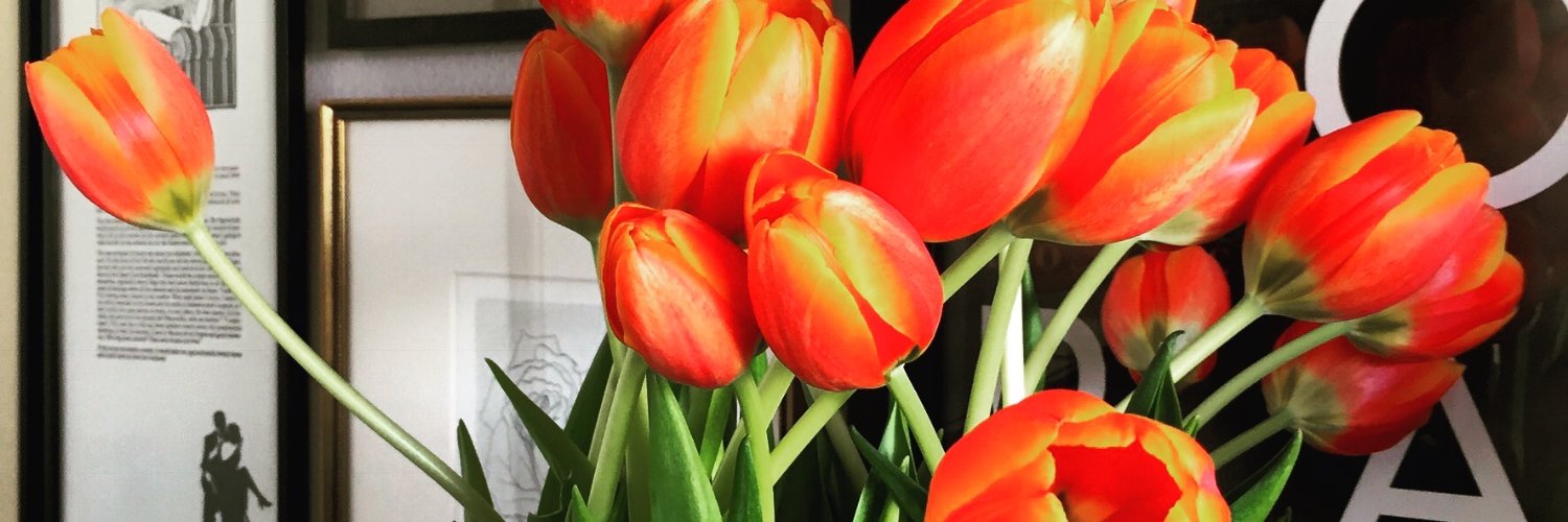 Katherine C. James banner