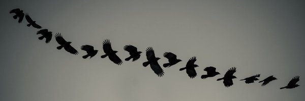 russellskaye Profile Banner