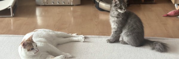 Miel_Jade Profile Banner