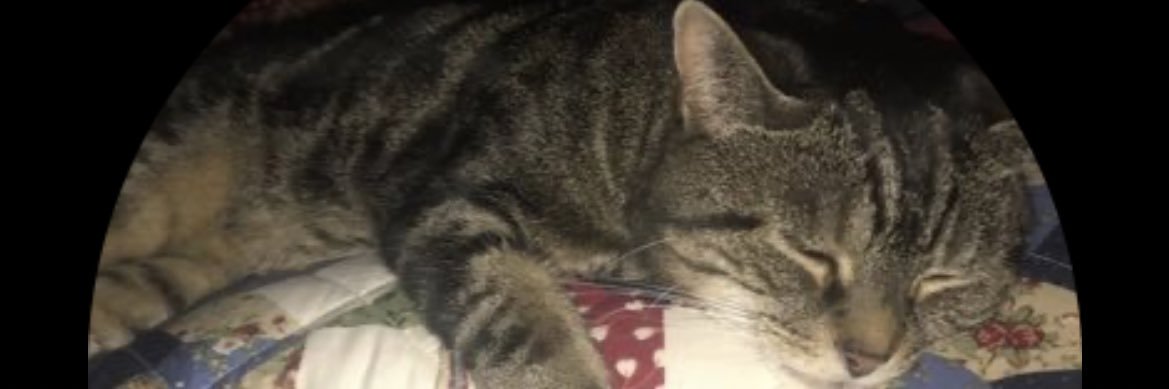 Christina Pieri banner