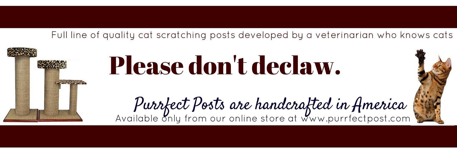 PurrfectPost's profile banner image