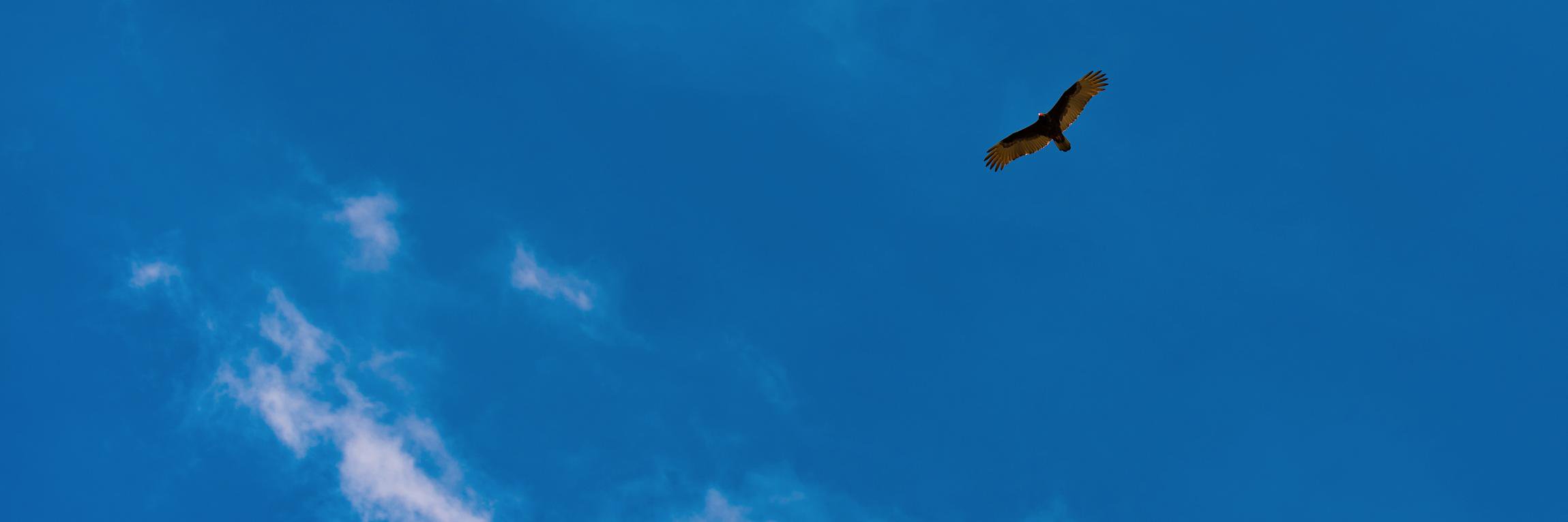 fedtrial's profile banner image