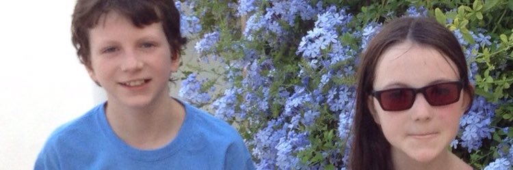 påul servîce banner