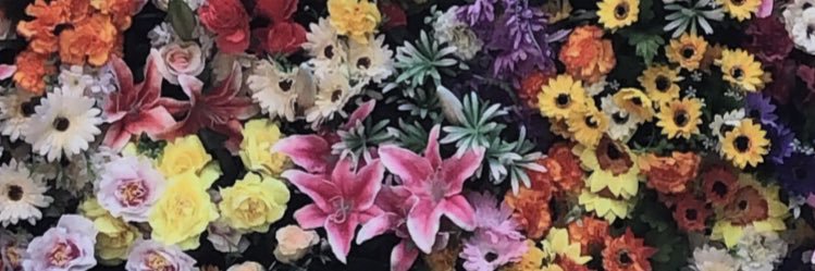 CharlotteDebi's profile banner image