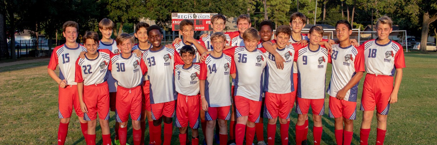 regisknights's profile banner image