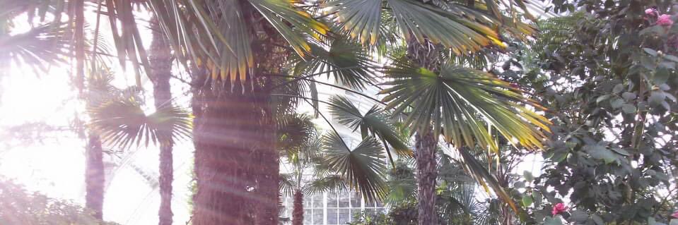 mituru ozaki@U’plan banner