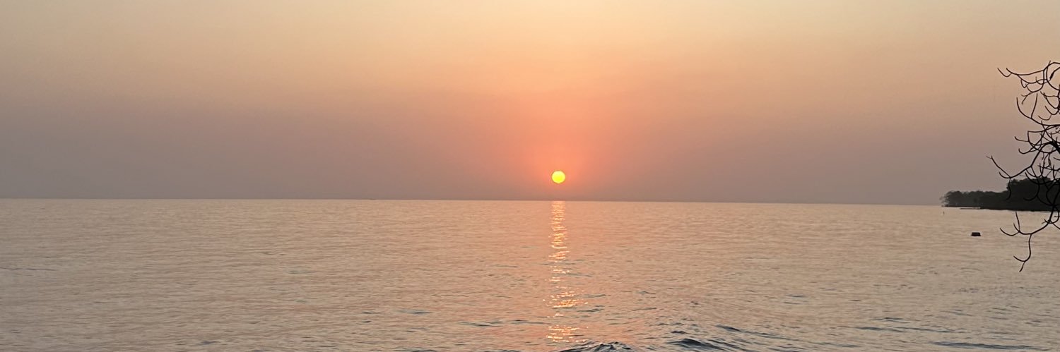 shadiayala's profile banner image