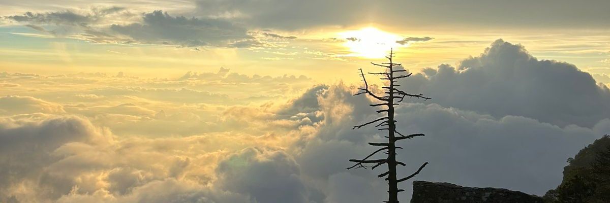 Neftalir88's profile banner image