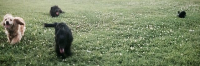 Mitzii__'s profile banner image