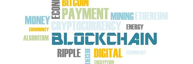 ProfEdVelasq | banner